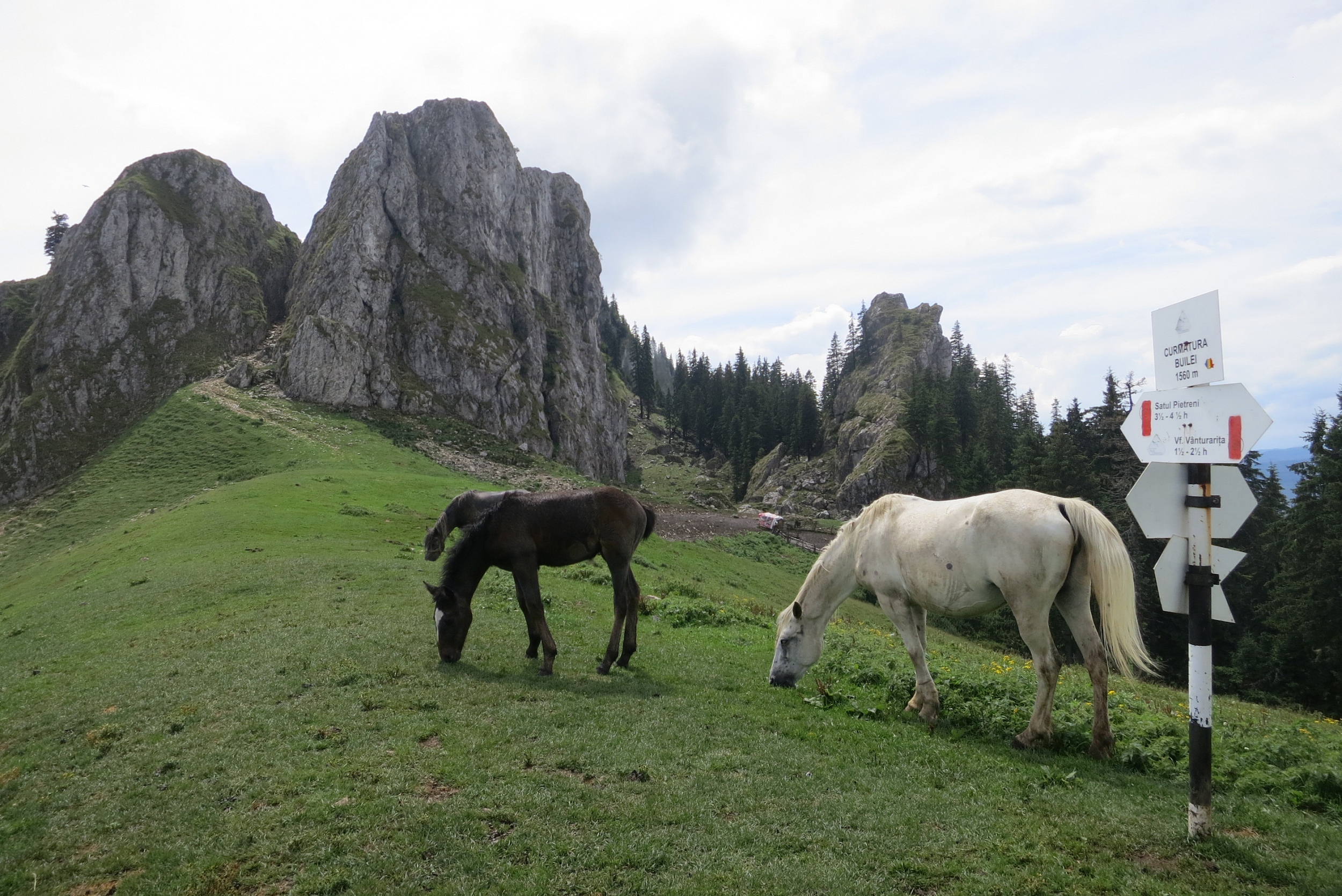 Munții Capatini / Sedlo Buila na hřebenu Buila-Vânturariţa.