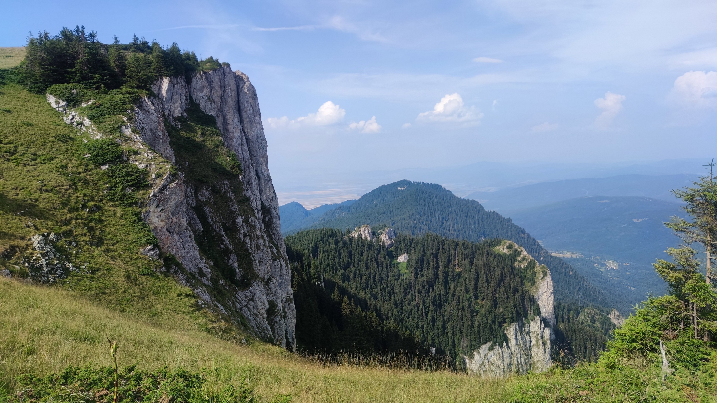 Munții Piatra Mare / Typická vrcholovka Piatry Mare - spasené loučky a strmě padající vápencové skály. 