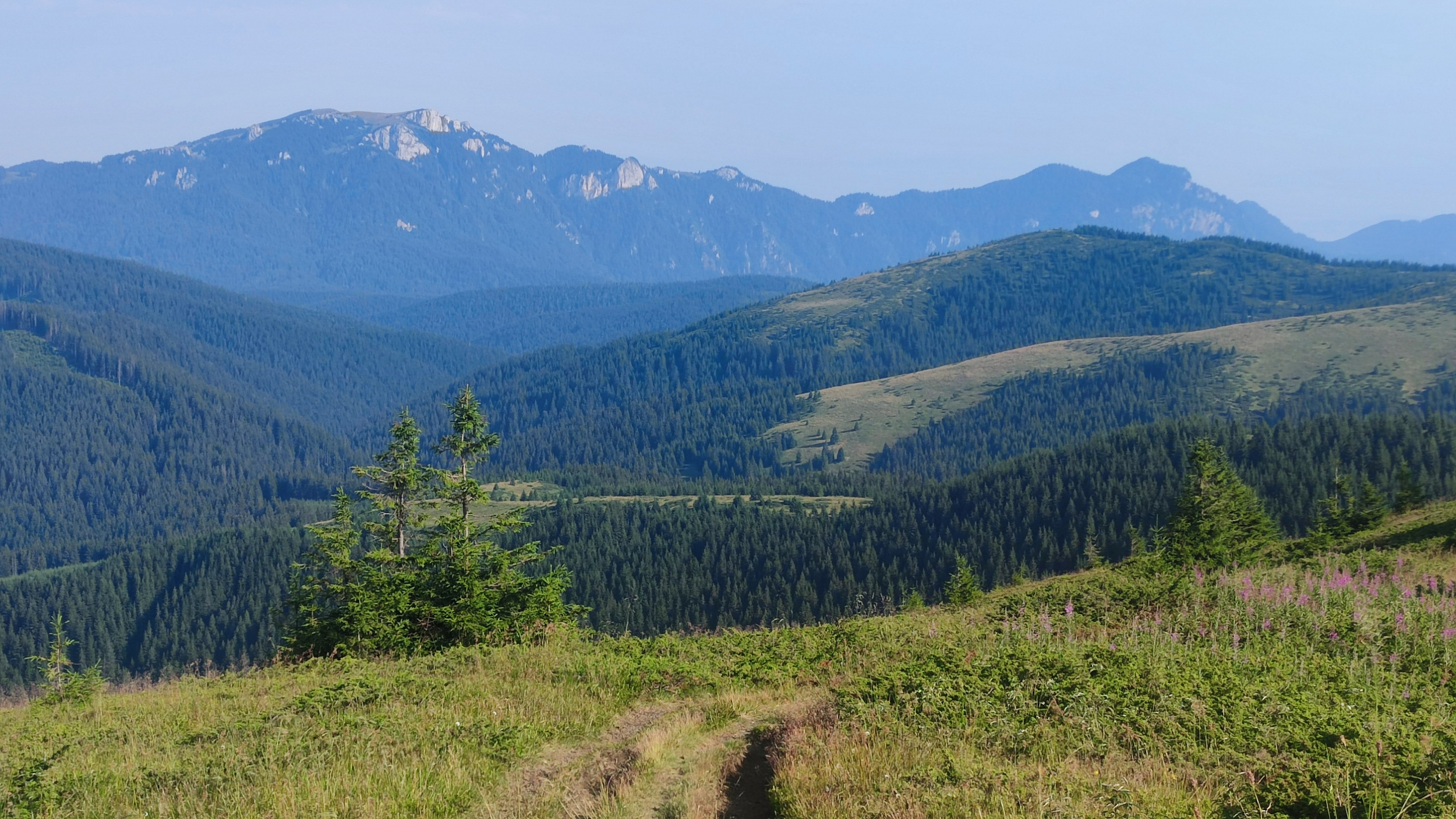 Munții Piatra Mare / Piatra Mare při pohledu od Neamtu.