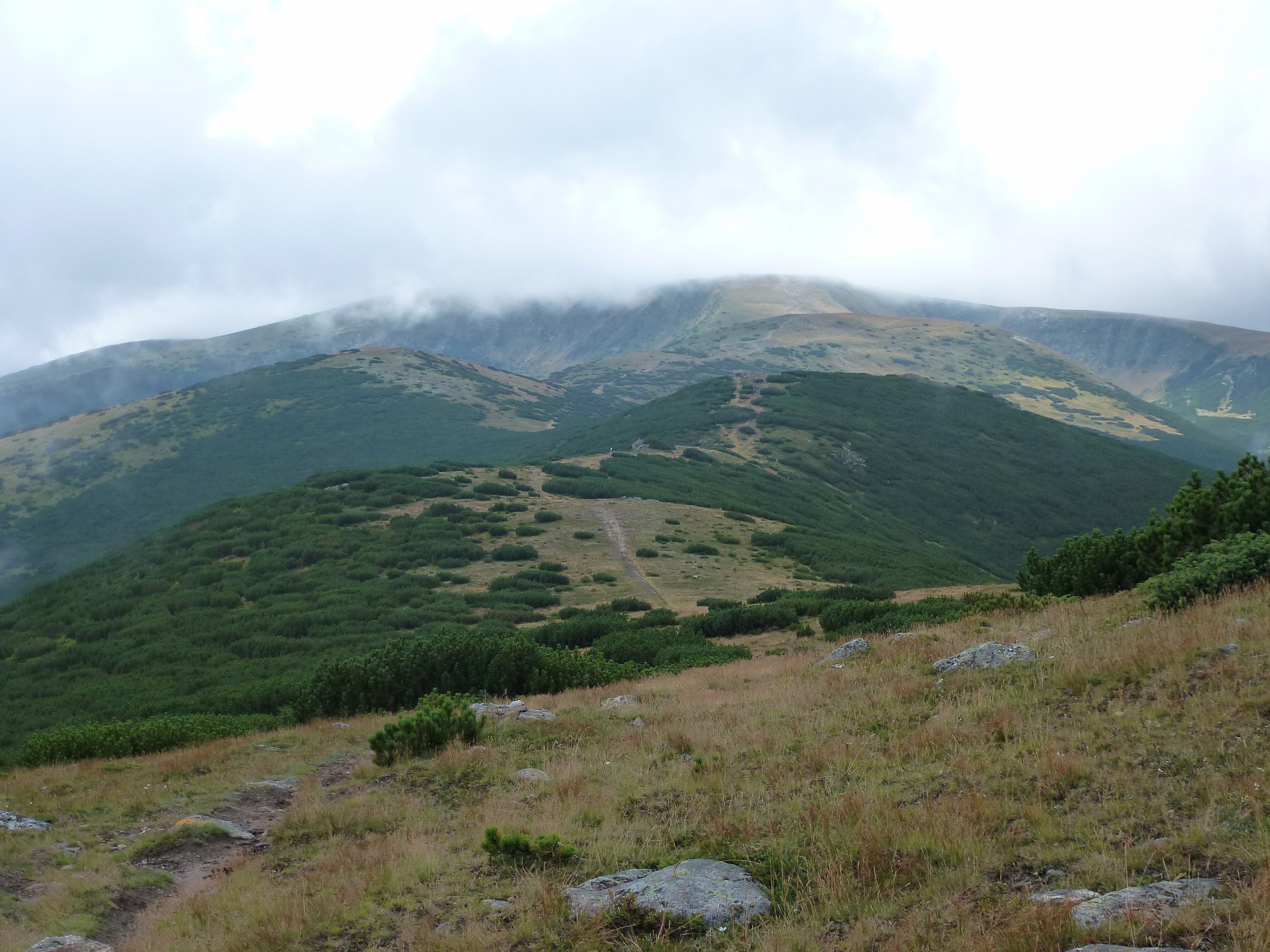Munții Cindrel / Nenáročný oblý hřeben.