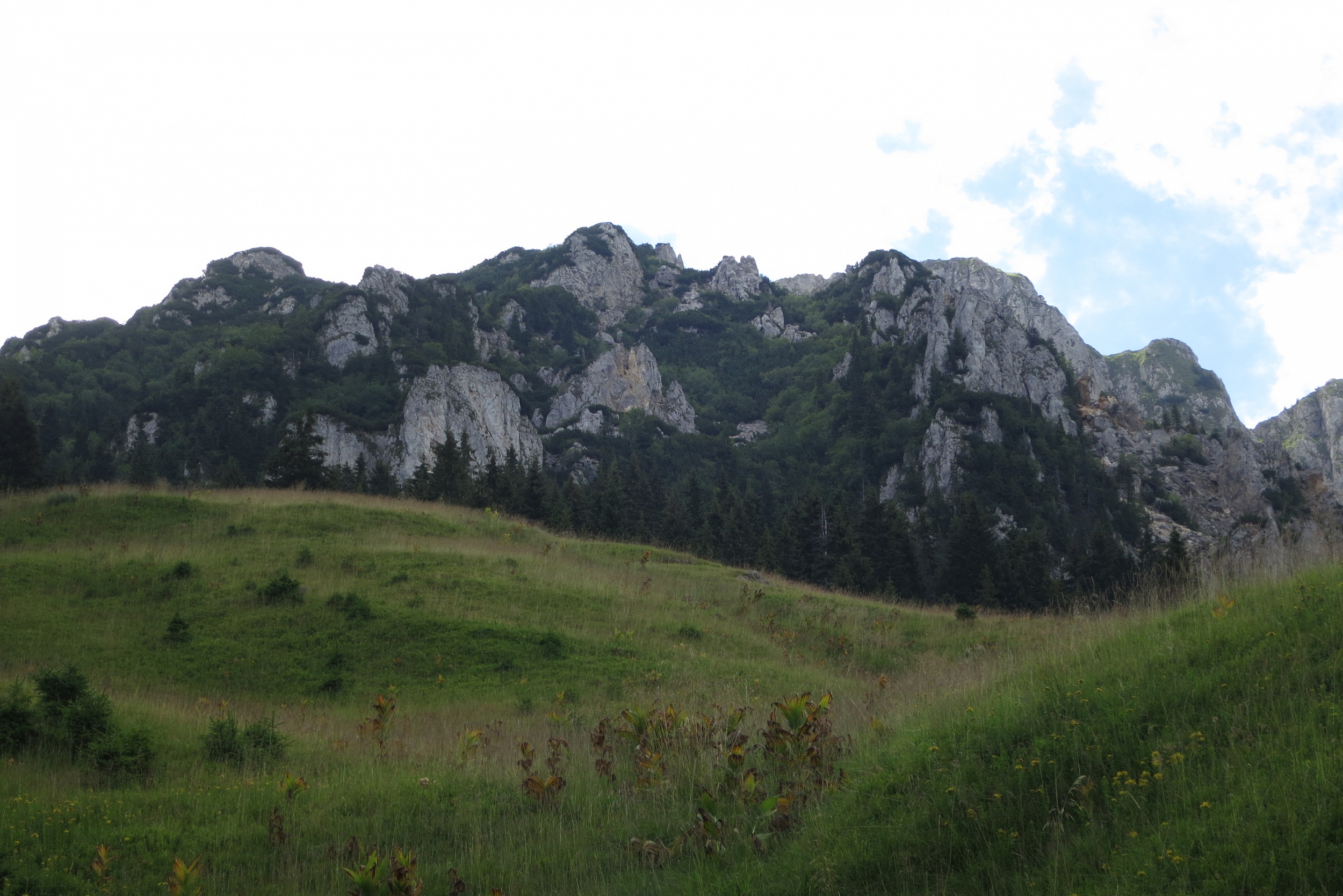 Munții Capatini / Hřeben Buila-Vânturariţa zblízka. Divoké, rozeklané, kolmé.