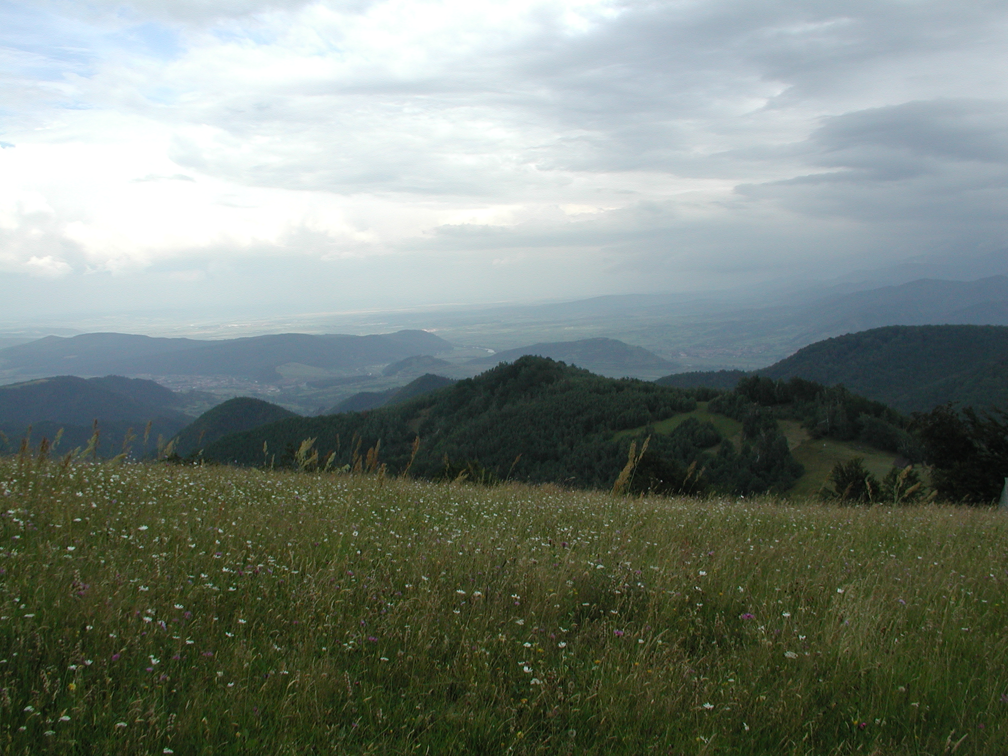 Munții Lotrului / Nástup na hřeben ze severovýchodního směru - pohled zpět k Talmaciu.