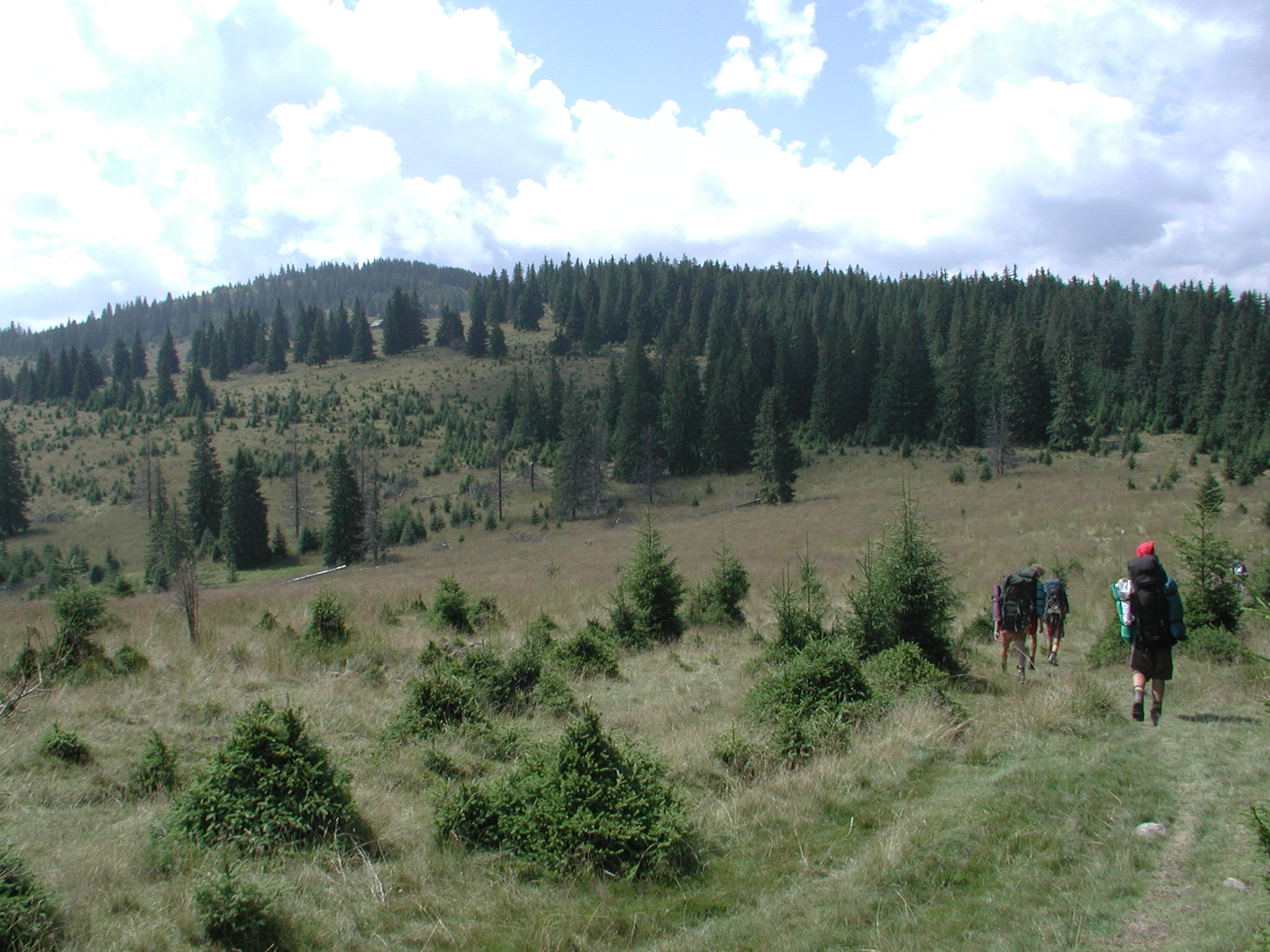 Munții Lotrului / Hřeben za chatou Prejba.