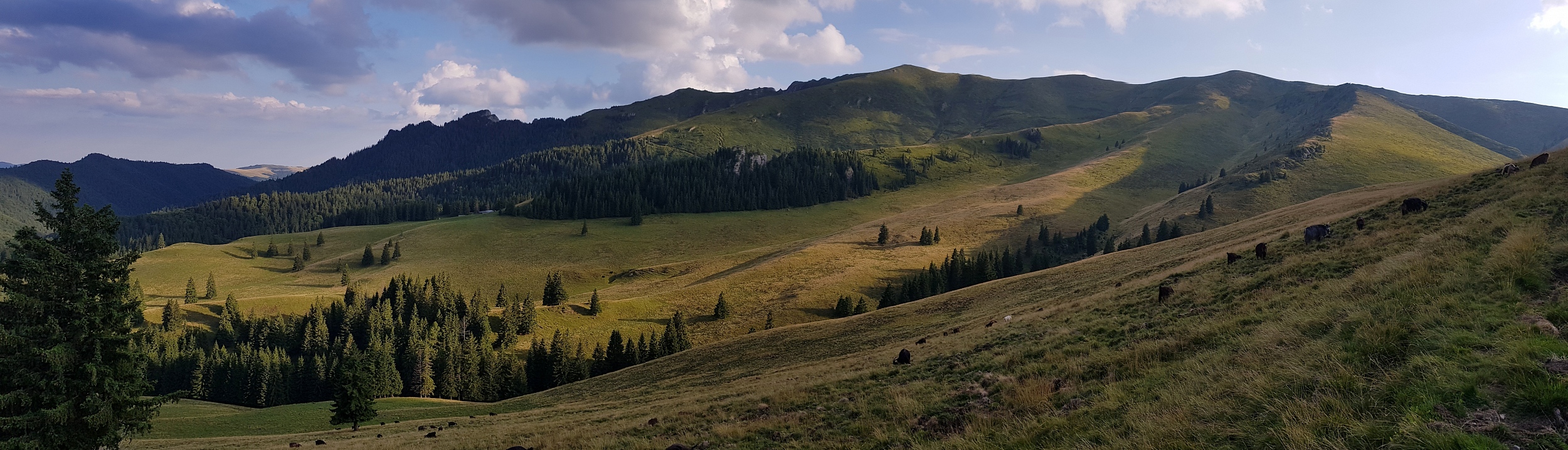 Munții Ciucaș / Východní Ciucaș. www.transcarpathian.org