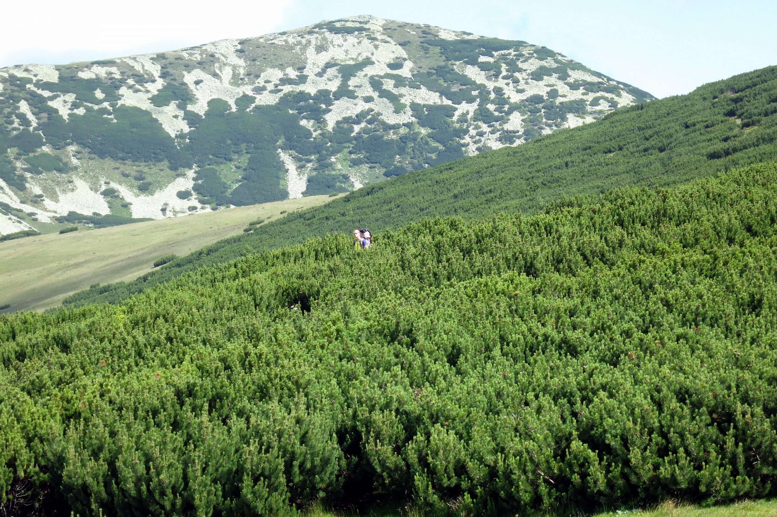 Munții Țarcu / Severní půlka pohoří: dost často cesta v kleči. Už zase.